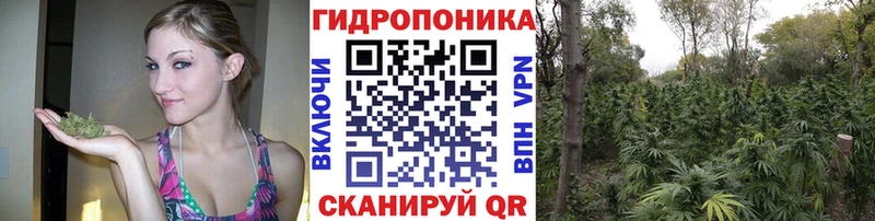 Где продают наркотики Ладушкин МАРИХУАНА  МЕТАМФЕТАМИН  Меф мяу мяу  COCAIN  APVP 