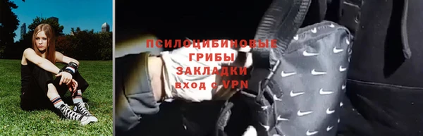 стаф Алзамай