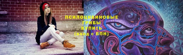 шишки Алексеевка