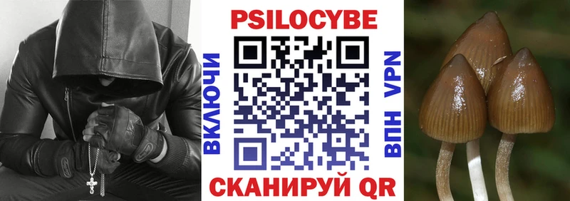 Псилоцибиновые грибы Magic Shrooms  Ладушкин 